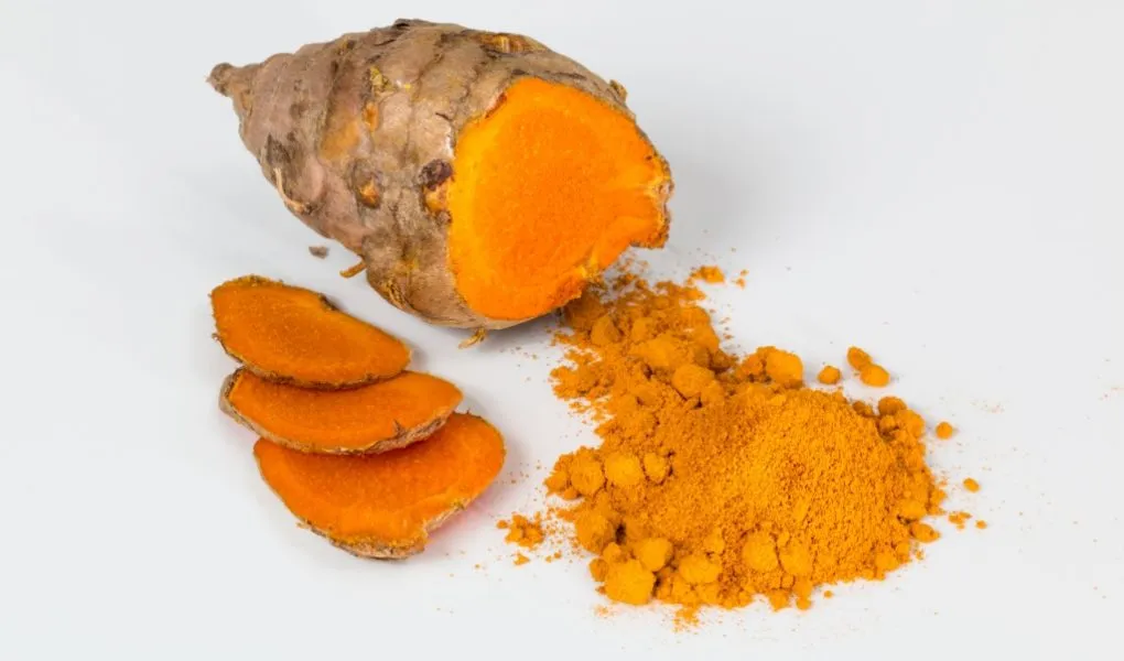 Raíz de cúrcuma y cúrcuma en polvo