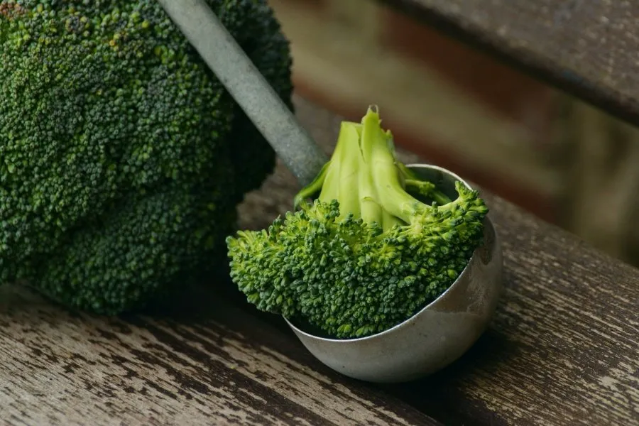 10-alimentos-para-mejorar-tu-sistema-inmune