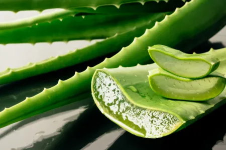 Beneficios-del-aloe-vera