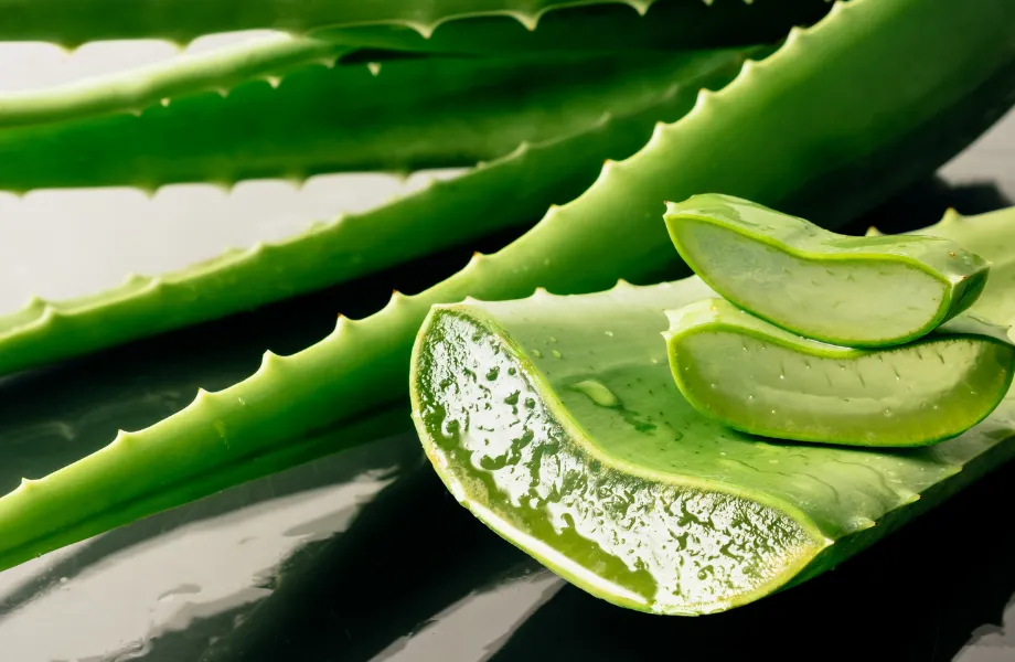 Beneficios-del-aloe-vera
