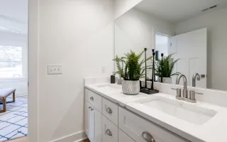 plantas para el baño