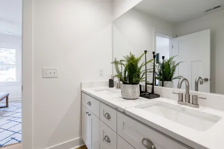 plantas para el baño