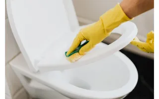 limpiar el inodoro