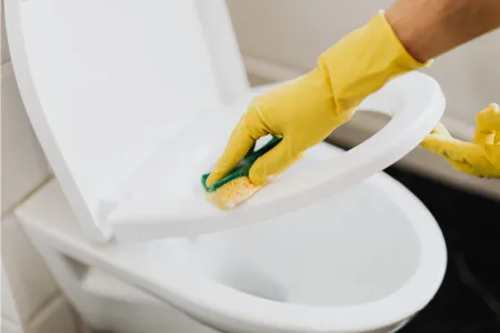 limpiar el inodoro
